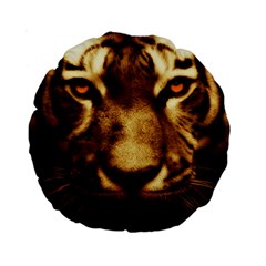 Cat Tiger Animal Wildlife Wild Standard 15  Premium Round Cushions by Celenk