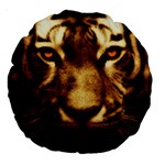 Cat Tiger Animal Wildlife Wild Large 18  Premium Round Cushions Front