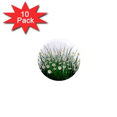 Spring Flowers Grass Meadow Plant 1  Mini Magnet (10 Pack)  by Celenk