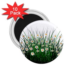 Spring Flowers Grass Meadow Plant 2 25  Magnets (10 Pack)  by Celenk