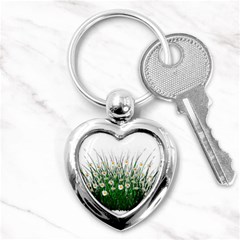 Spring Flowers Grass Meadow Plant Key Chains (heart)  by Celenk