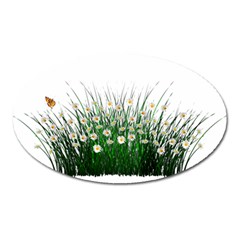 Spring Flowers Grass Meadow Plant Oval Magnet by Celenk