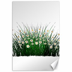 Spring Flowers Grass Meadow Plant Canvas 20  X 30   by Celenk