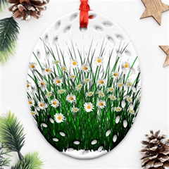 Spring Flowers Grass Meadow Plant Ornament (oval Filigree) by Celenk