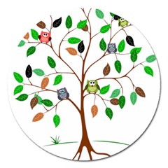 Tree Root Leaves Owls Green Brown Magnet 5  (round) by Celenk