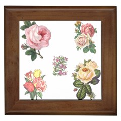 Rose Flowers Campanula Bellflower Framed Tiles by Celenk