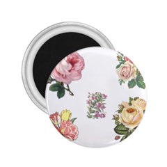 Rose Flowers Campanula Bellflower 2 25  Magnets by Celenk