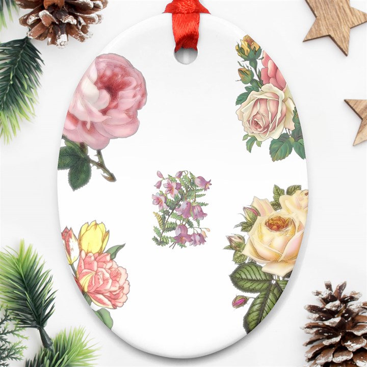 Rose Flowers Campanula Bellflower Ornament (Oval)