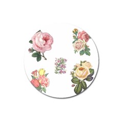 Rose Flowers Campanula Bellflower Magnet 3  (round) by Celenk