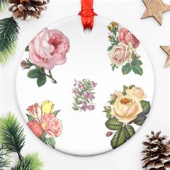 Rose Flowers Campanula Bellflower Round Ornament (two Sides) by Celenk