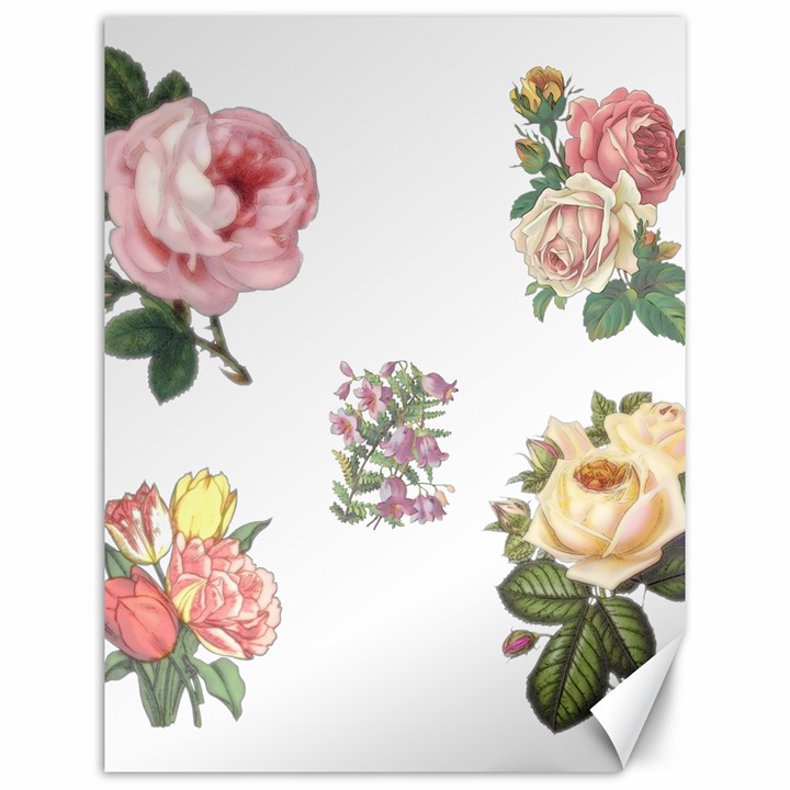 Rose Flowers Campanula Bellflower Canvas 12  x 16  