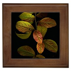 Autumn Leaves Foliage Framed Tiles by Celenk