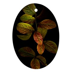 Autumn Leaves Foliage Ornament (oval) by Celenk