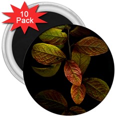 Autumn Leaves Foliage 3  Magnets (10 Pack)  by Celenk