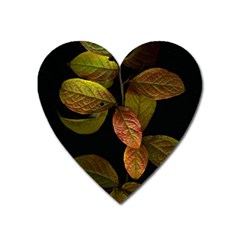 Autumn Leaves Foliage Heart Magnet by Celenk