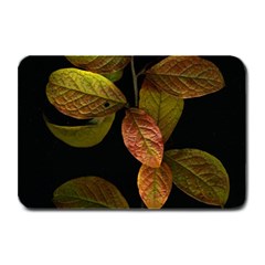 Autumn Leaves Foliage Plate Mats by Celenk