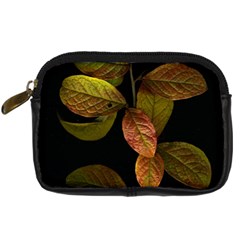 Autumn Leaves Foliage Digital Camera Cases by Celenk