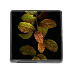 Autumn Leaves Foliage Memory Card Reader (square) by Celenk