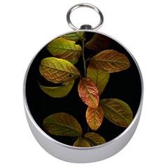 Autumn Leaves Foliage Silver Compasses by Celenk