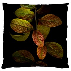 Autumn Leaves Foliage Standard Flano Cushion Case (one Side) by Celenk