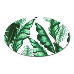 Banana Leaves And Fruit Isolated With Four Pattern Oval Magnet by Celenk