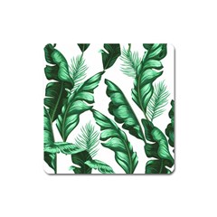 Banana Leaves And Fruit Isolated With Four Pattern Square Magnet by Celenk