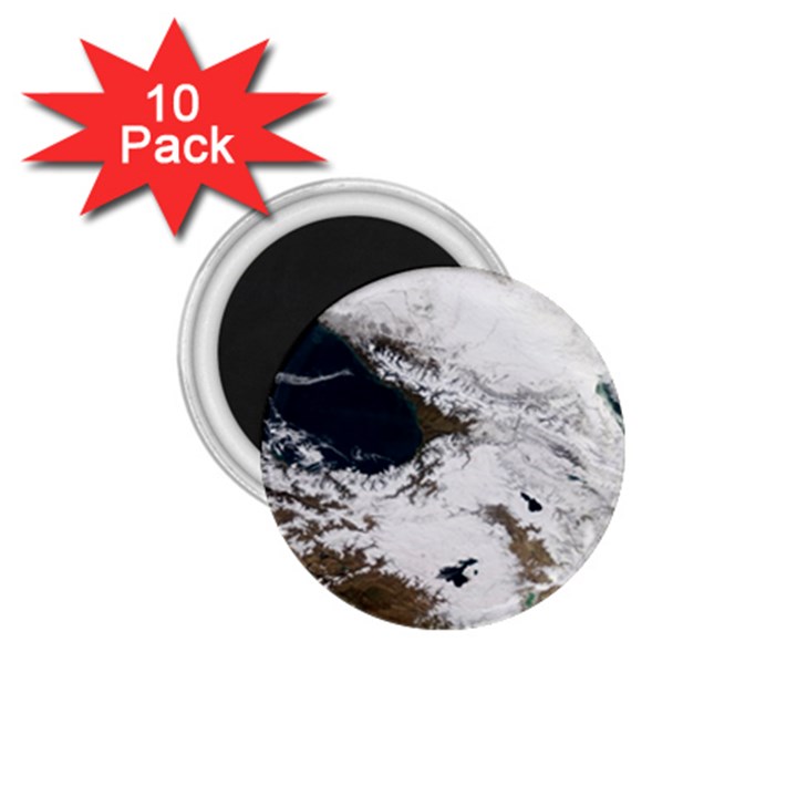 Winter Olympics 1.75  Magnets (10 pack) 