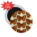 Butterfly Butterflies Insects 2.25  Magnets (100 pack)  Front