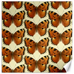 Butterfly Butterflies Insects Canvas 16  X 16   by Celenk