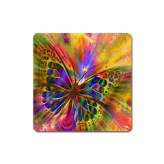 Arrangement Butterfly Aesthetics Square Magnet