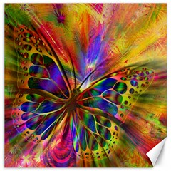 Arrangement Butterfly Aesthetics Canvas 20  x 20  