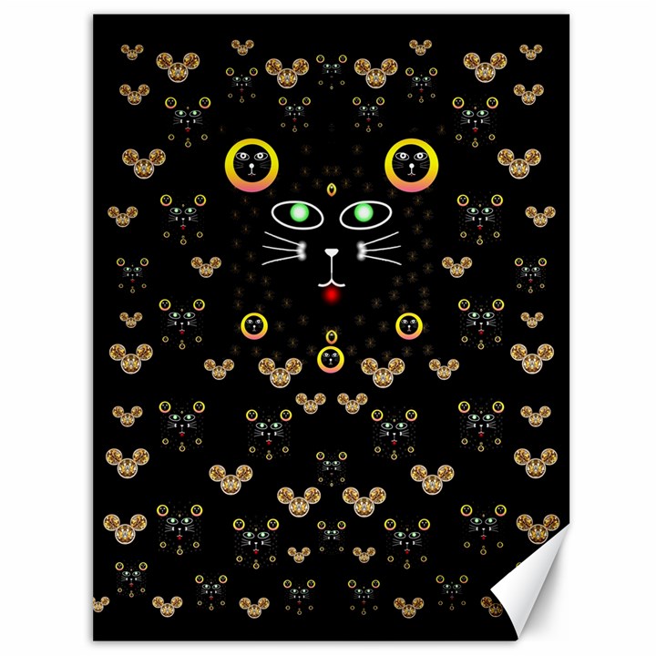 Merry Black Cat In The Night And A Mouse Involved Pop Art Canvas 36  x 48  