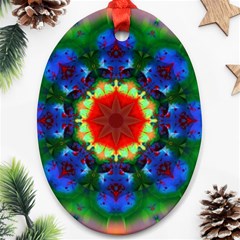 Fractal Digital Mandala Floral Ornament (oval) by Celenk