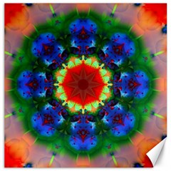 Fractal Digital Mandala Floral Canvas 20  X 20   by Celenk