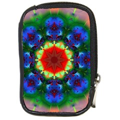 Fractal Digital Mandala Floral Compact Camera Cases by Celenk