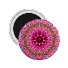 Flower Mandala Art Pink Abstract 2 25  Magnets by Celenk