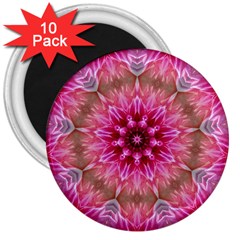 Flower Mandala Art Pink Abstract 3  Magnets (10 Pack)  by Celenk