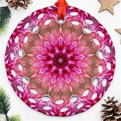 Flower Mandala Art Pink Abstract Round Filigree Ornament (two Sides) by Celenk