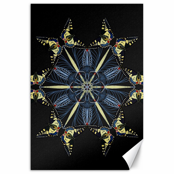 Mandala Butterfly Concentration Canvas 20  x 30  