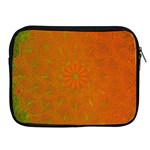 Background Paper Vintage Orange Apple iPad 2/3/4 Zipper Cases Front