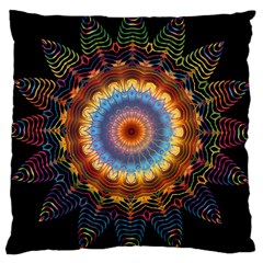 Colorful Prismatic Chromatic Large Cushion Case (one Side) by Celenk