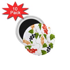 Juicy Currants 1 75  Magnets (10 Pack)  by TKKdesignsCo