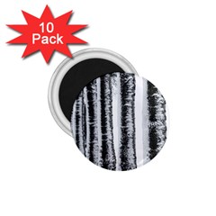 Row Trees Nature Birch 1 75  Magnets (10 Pack)  by Celenk