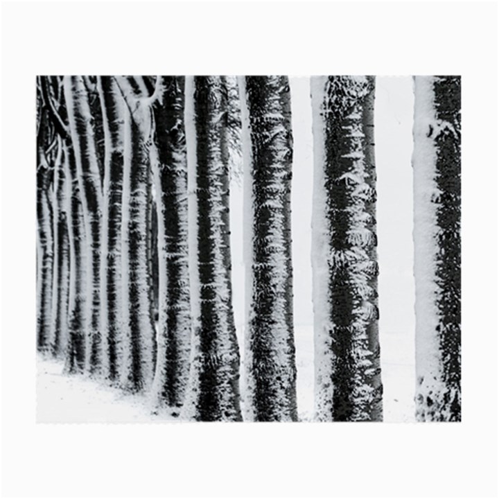 Row Trees Nature Birch Small Glasses Cloth