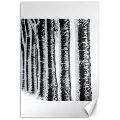 Row Trees Nature Birch Canvas 20  X 30   by Celenk