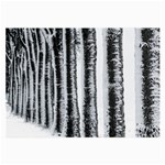 Row Trees Nature Birch Large Glasses Cloth (2-Side) Front