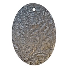 Eiskristalle Hardest Frozen Texture Oval Ornament (two Sides)