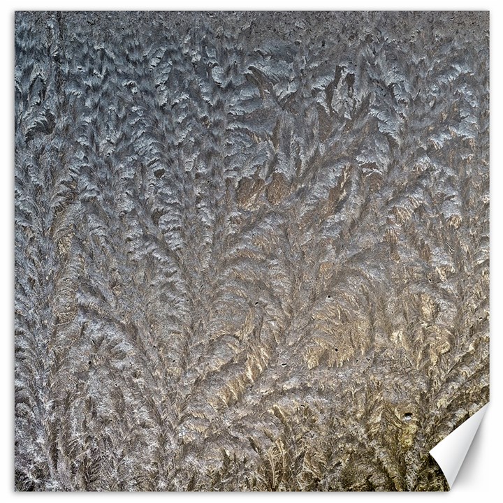 Eiskristalle Hardest Frozen Texture Canvas 20  x 20  