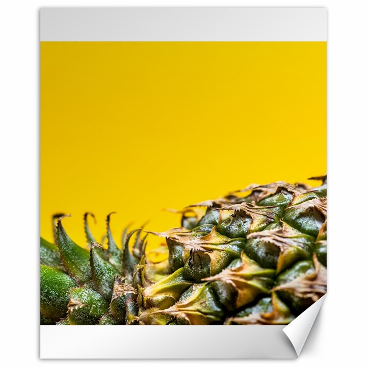 Pineapple Raw Sweet Tropical Food Canvas 16  x 20  