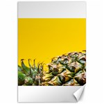 Pineapple Raw Sweet Tropical Food Canvas 20  x 30   19.62 x28.9  Canvas - 1